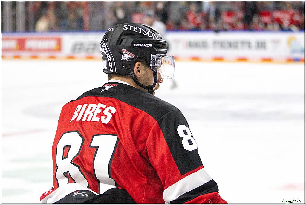 PENNY DEL;  Koelner Haie - Straubing Tigers; Koeln, 15.10.2021